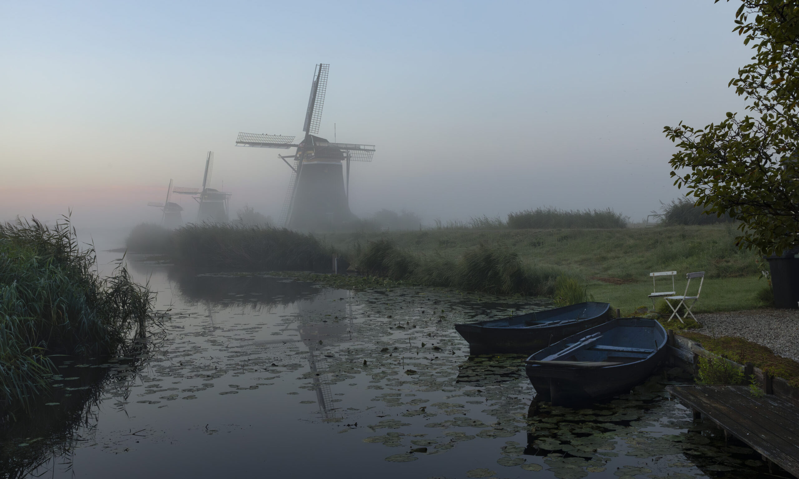 Typical Dutch landscape